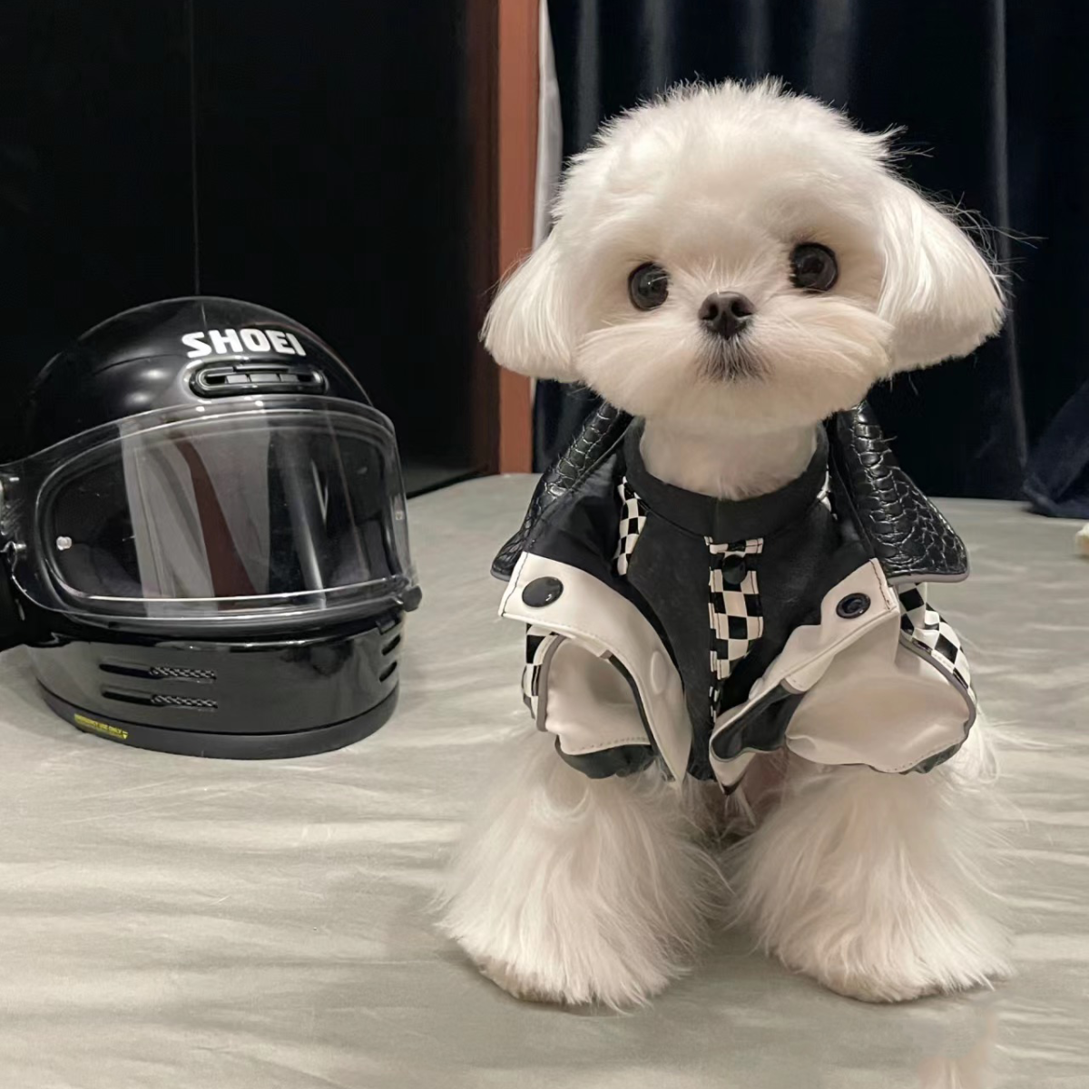 Одежда для животных 防寒帅气【机车风】宠物猫咪狗狗衣服秋冬新款内外搭配保暖夹克 Strange pets