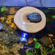 Turtle wood basking platform turtle basking platform climbing platform fish tank climbing ladder deep water hatching island basking platform high water level resting driftwood