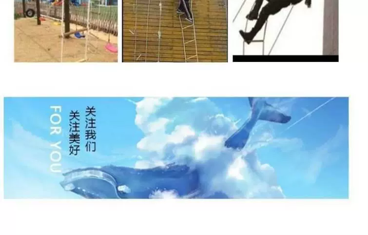 Thang thoát hiểm thang mềm thang chữa cháy mềm thang làm việc ở độ cao thang xuống hố dây gai dây cứu hộ chống mài mòn thang leo thang thang dây sơn nước