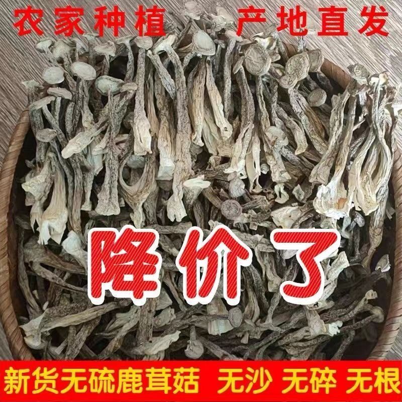 Deer antler mushroom antler mushroom dry goods 500g Yunnan specialty fresh antler mushroom nutritional mushroom mushroom dried shiitake mushroom