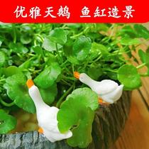 Darling Little Handsome Fish Tank Emulation Small Swanky Swing Piece Building View Outdoor Garden Courtyard Waterscape Decoration Creative Resin Animal