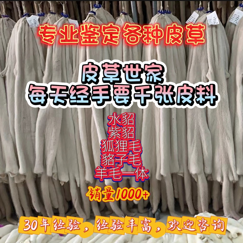 Professional Mink Raccoon Fur Fox Fur Wolf Fur Rabbit Fur Real and Fake Appraisal Price Quality One Series I Have Wool
