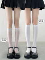 Summer Lolita calf stockings JK socks female spring fall and summer in the tide of Korea cute Japanese system