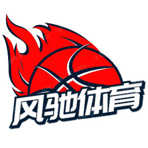 LN风驰体育 只售正品
