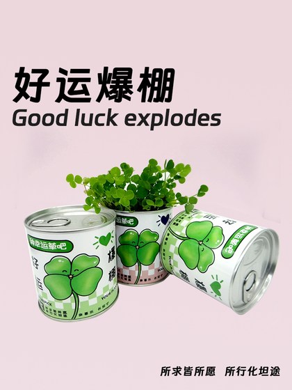 办公室绿植小盆栽室内迷你桌面儿童种植情绪稳定礼物花盆创意罐头