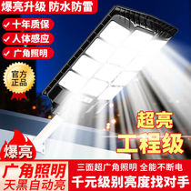 Millionaire Hot Model-Solar Street Light Human Body Sensing Lighting Outdoor Rural Super Bright Home Outdoor Garden Light