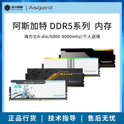 Asgart Valkyrie DDR5 Память 16G*2 6000 6400 32G SET BRIM SNOW BORAKI TUF