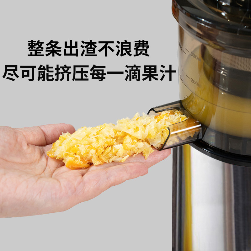 Juicer with Pulp Separation, Fully Automatic, Multifunctional, for Home and Commercial Use, Small Fruit and Vegetable Juicer