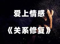 Falling in love with emotions Relationship Repair