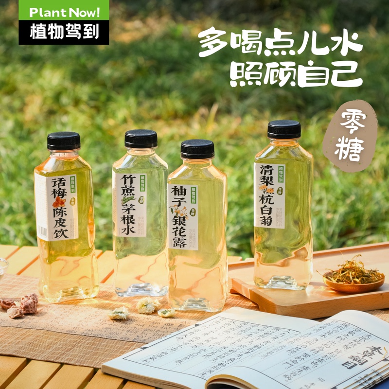 Plant-Based 0 Sugar 0 Calorie Drink 500ml*15 Bottles Whole Box Qingli Pear, Hangbai Chrysanthemum, Dried Tangerine Peel, Prune Zero Sugar Tea Drink