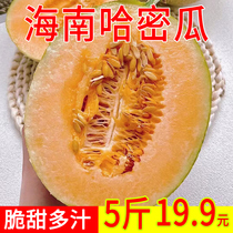 Свежая Hamegua Hainan reticulated honey melon West State honey мороженое Xiaohoney 25 Chansweet когда это платье для фруктовых подарков