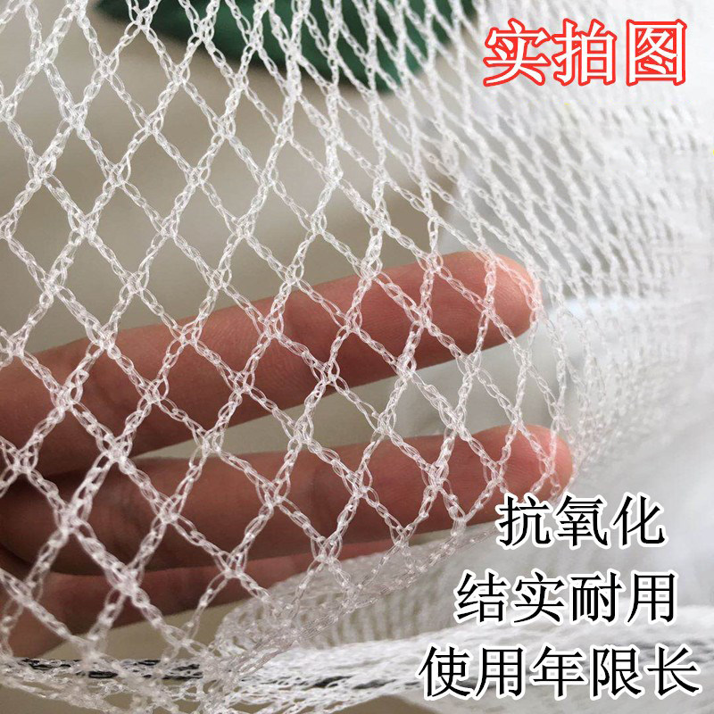 如何选购合适的防雹防鸟网来保护果园?