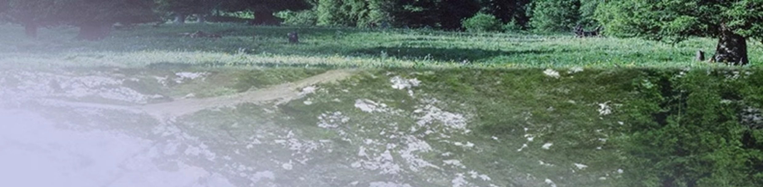 Maca Tablet Energizing Oyster Tonic Release Function Adult Male Nutrition 60 Capsules/Bottle