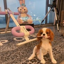 High-end abdominal abdominal machine lazy abdominal machine abdominal muscle strengthening body slimming machine abdominal abuse machine waist curling machine