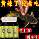黄辣丁专用饵料钓鱼小药野钓通杀窝料昂刺鱼青稍红尾专攻