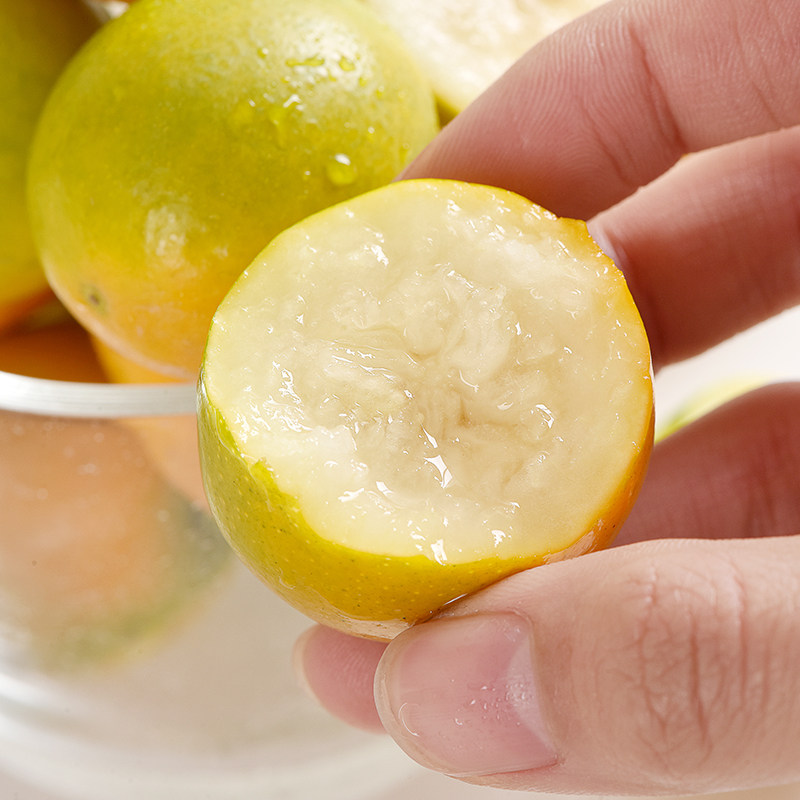 2026年尝鲜 | 广西融安金桔为何5斤装更划算？