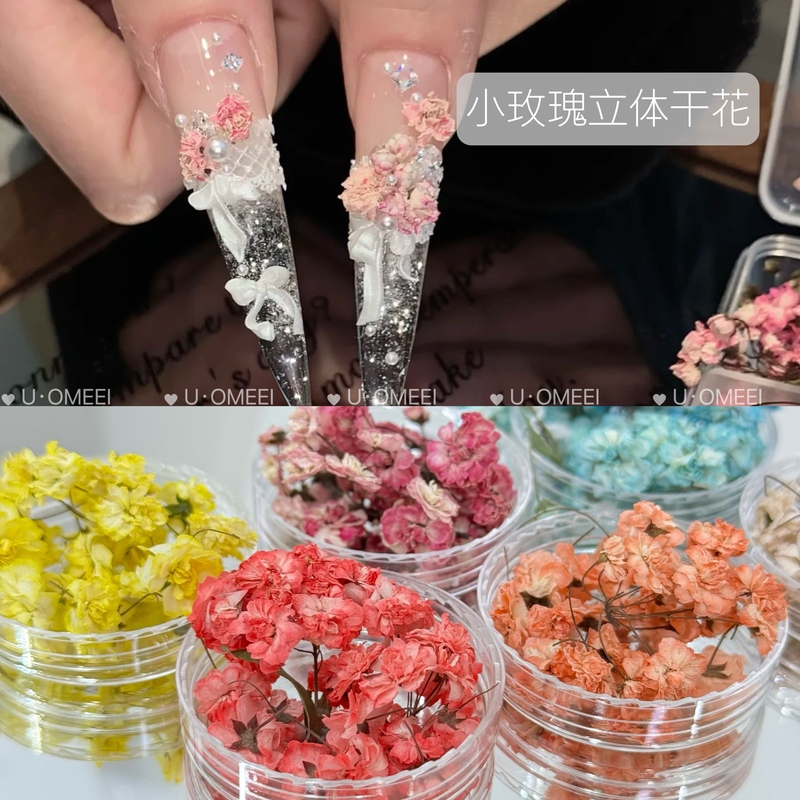 Nail Art Japanese-Style Rose Small Flower Buds, Rice Grain Dried Flowers, Floral Decorations, Mixed Decorative Materials, DIY Nails