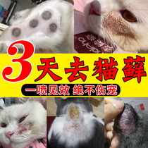 Mousse de chat Médecine efficace spéciale cat ringeuse médecine externe pour traiter les chatons dermatose mycotique infection spray désinfectant et anti-démangeuse