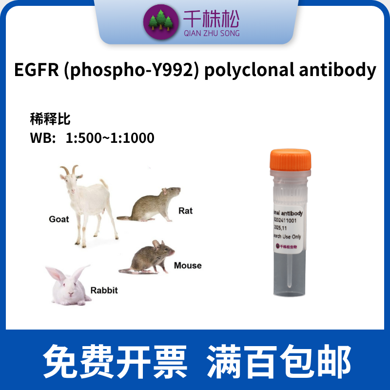 一抗，EGFR (phospho-Y992) polyclonal antibody  WB IHC IF IP