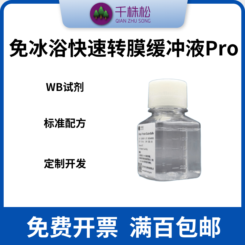 免冰浴快速转膜缓冲液Pro  WB湿转 无SDS 100KD以上分子转膜较优