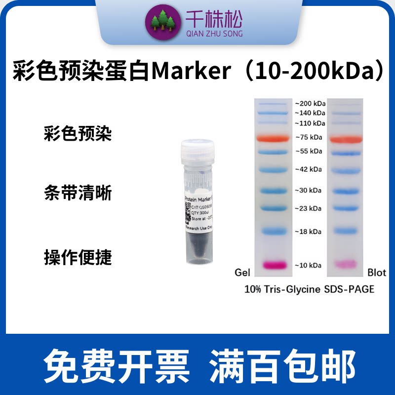 彩色预染蛋白Marker /SDS-PAGE蛋白分子量指示剂