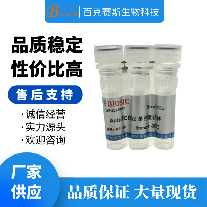Anti-TCEB2 Monoclonal antibody 实验用单克隆抗体百克赛斯生物