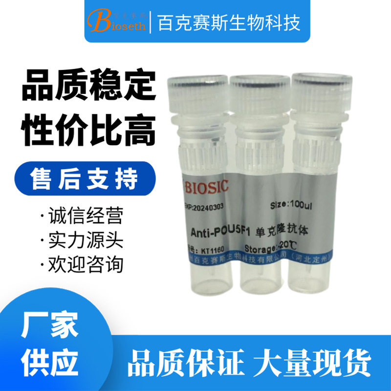 Anti-POU5F1 Monoclonal antibody 实验用单克隆抗体百克赛斯生物
