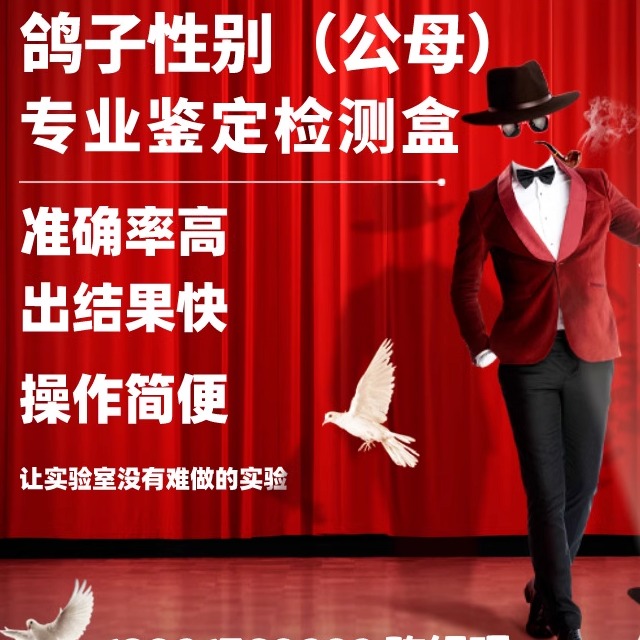 鸽子性别检测鉴定试剂盒 雌雄公母检测PCR科研试剂 百克赛斯生物