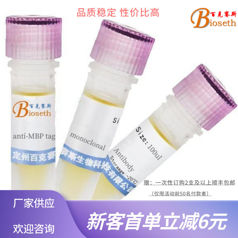 Anti-MBP monoclonal Antibody 实验用抗体 百克赛斯生物