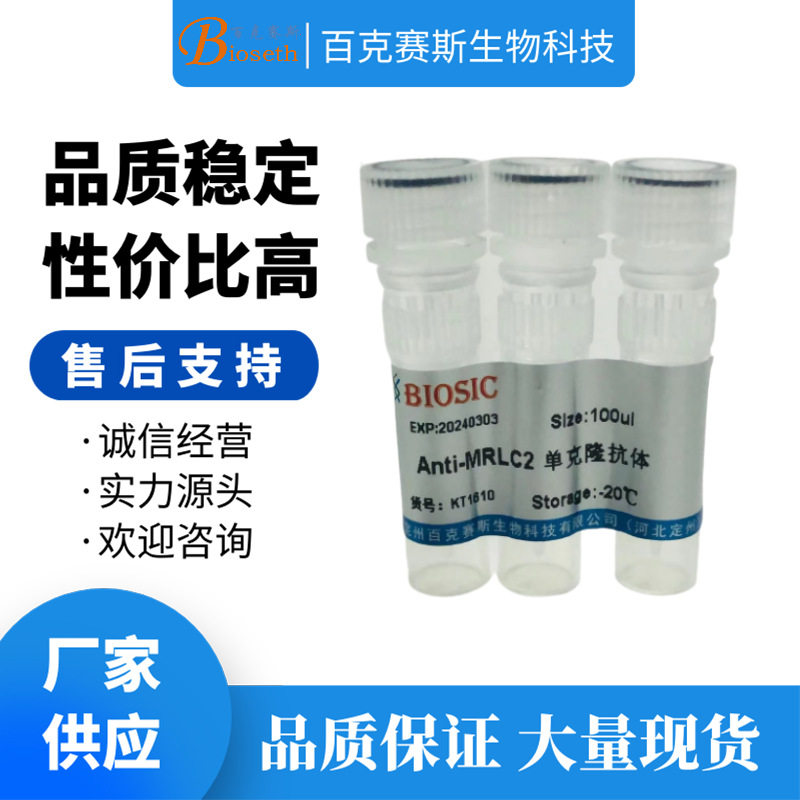 Anti-MRLC2  Monoclonal antibody 实验用单克隆抗体百克赛斯生物