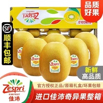 Weight Loss Fruit SF New Zealand Zesquin Pei Kiwi Fruit Zespr Sunshine Golden Fruit Pregnant Women Fruit Yellow Kiwi Fruit