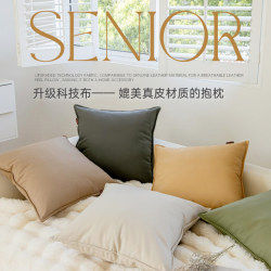 Light Luxury Upgraded Tech Fabric Pillow 2025 New Model Sofa Living Room Cushion Lumbar Pillow Backrest Cushion Leather Pillowcase Cushion Cover