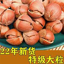 2022 New Arrival Large Hazelnuts Thin-Skinned Original Northeastern Specialty Snacks Hand-Peeled American Nuts Ripe