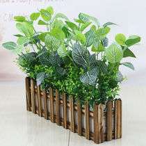 Floral Heh emulation green loo potted room simulation plant plastic small potted plant decoration green planting emulated flower and grass false planting