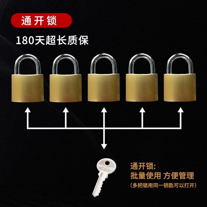 100 Padlocks That Can Be Opened with One Key, One Key Opens Multiple Locks, Keyed Alike, Concentric Lock, Electric Lock, Lock Head