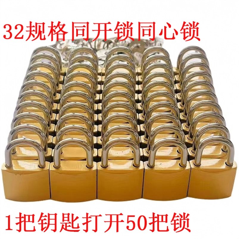 One Key for Multiple Locks, Iron Padlock, Small Lock, Dormitory Cabinet, Meter Box Padlock, Universal Lock, Warehouse Interlock