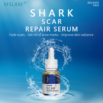 MSLAM Advanced Skin Care: Scar Lotion Acne Scarr Bur