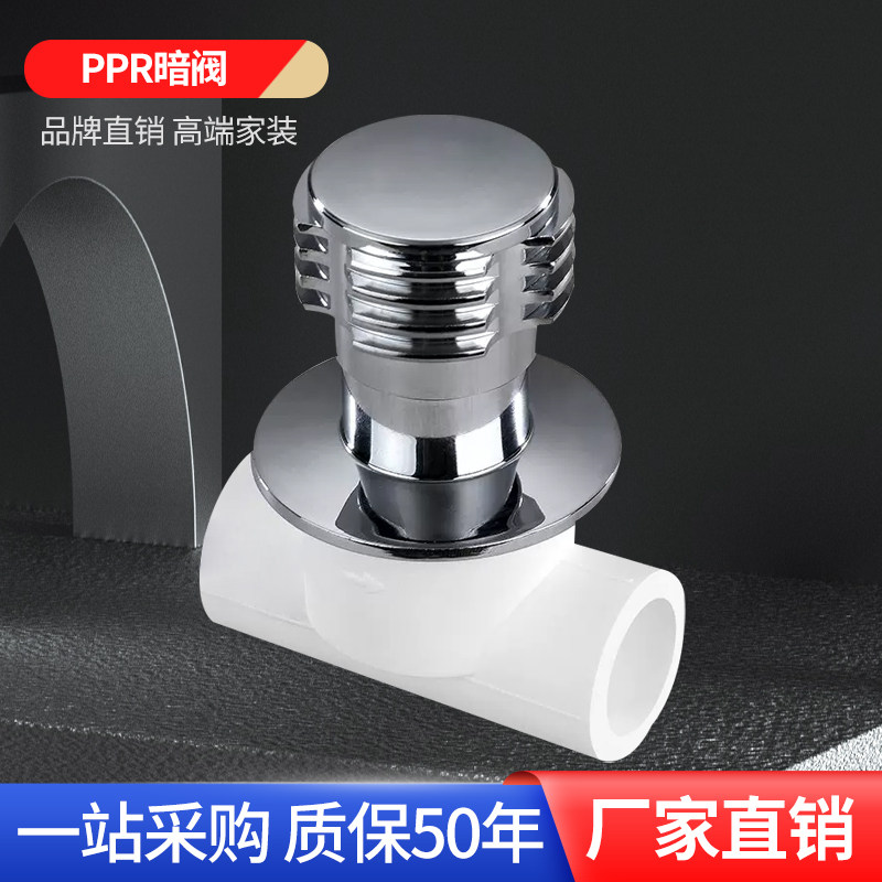 正品4分20PPR25暗阀双活接球阀4分6分截止阀冷热配件热熔管件水管