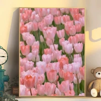 A332 Тюльпан 4