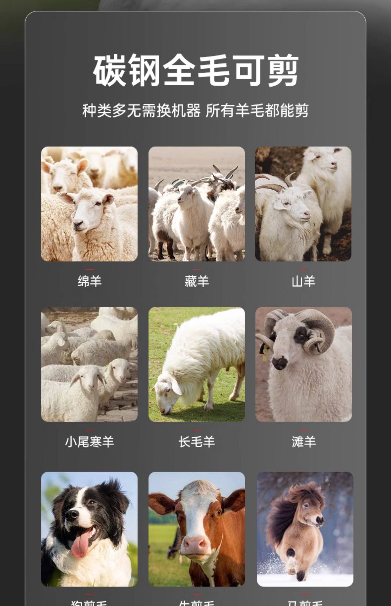 Ножницы None CAMATON