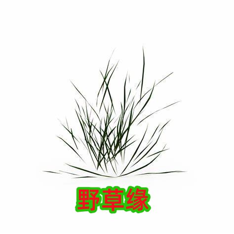 野草缘