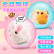 Electric hamster simulation rabbit toy pet rolling ball running ball doll Douyin plush learning to crawl children's gift