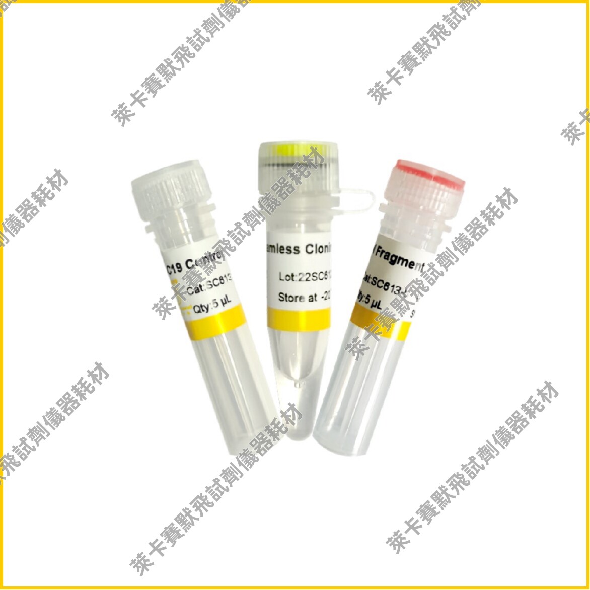 Uniclone One Step Seamless Cloning Kit Ver.2 无缝克隆试剂盒