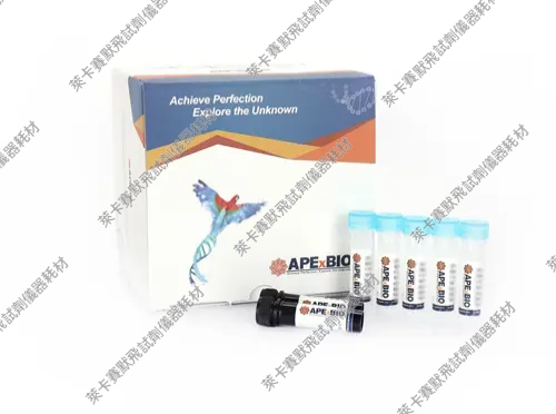 mRNA Magnetic Isolation Kit组织/细胞快速分离mRNA磁珠法试剂盒