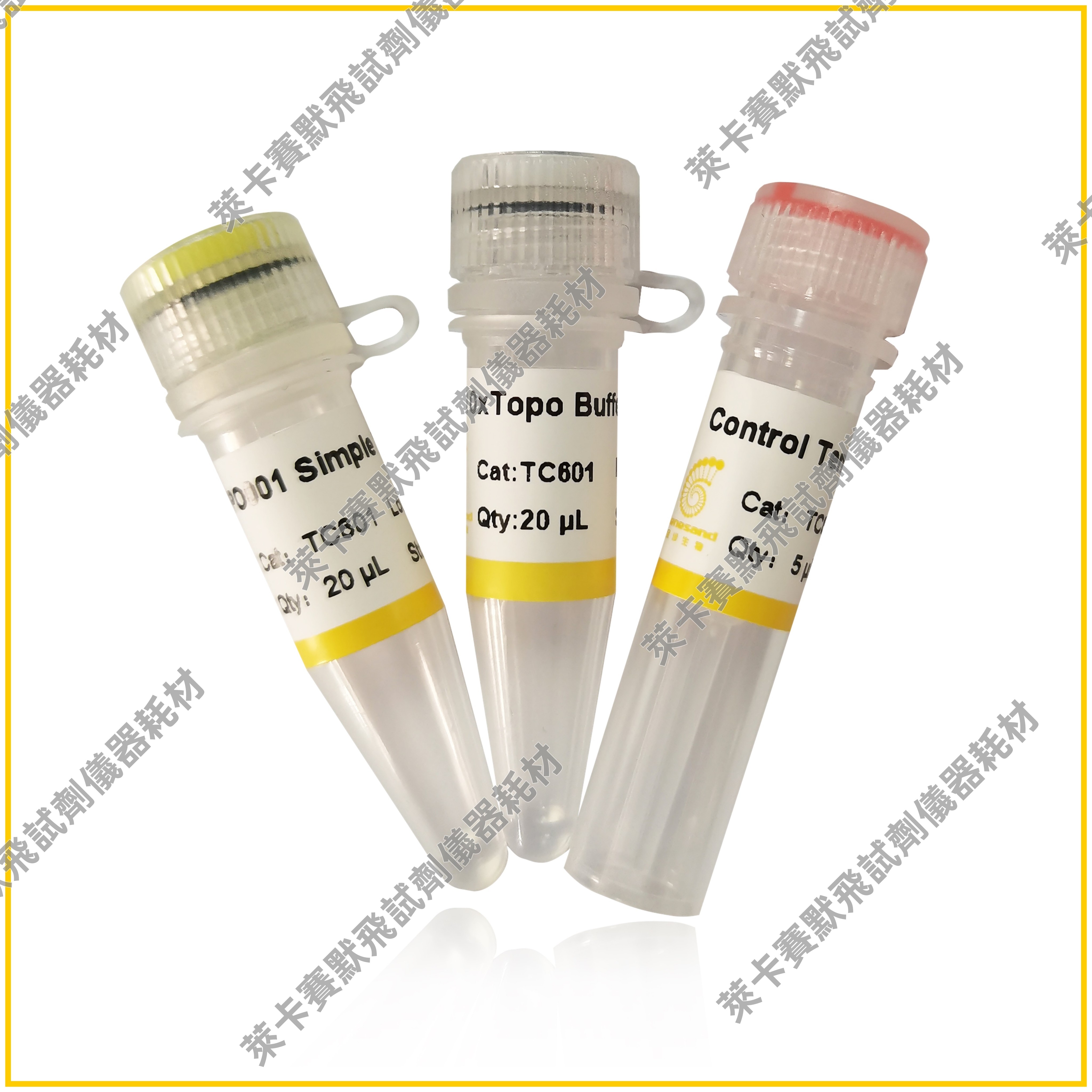 pTOPO001 Simple Cloning Kit 基于拓扑异构酶的快速克隆试剂盒