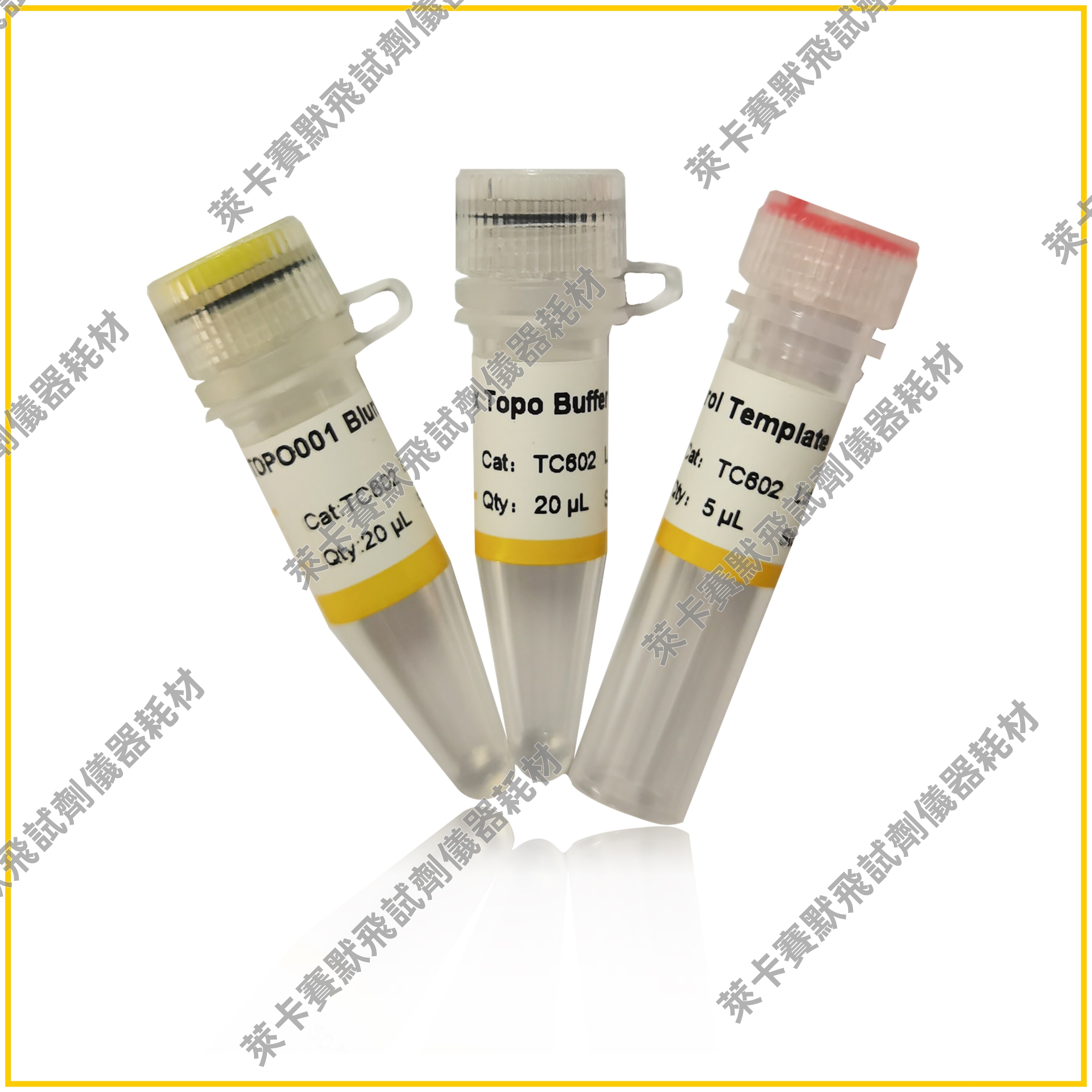 pTOPO001 Blunt Simple Cloning Kit 快速克隆试剂盒 平末端连接