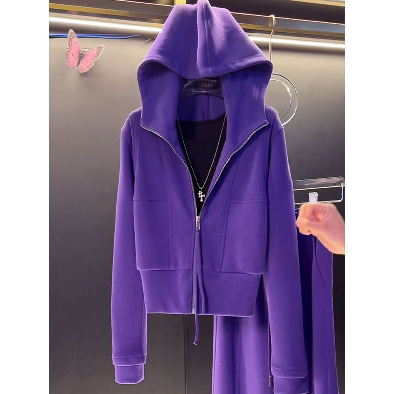 Casual Sports Suit for Women, Spring and Autumn Fashion, Age-Reducing, Stylish, Loose, Slimming, Korean Style, Purple Sweatshirt Jacket Two-Piece Set Casual Sports Suit for Women, Spring and Autumn Fashion, Age-Reducing, Stylish, Loose, Slimming, Korean Style, Purple Sweatshirt Jacket Two-Piece Set