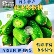 Northeast Teryield Dandong Exotic Berries Soft Date Kiwi Fruit Peach Season Fresh Fruit Whole Boxes