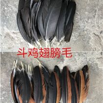 Fighting cock feathers fighting cock feathers chicken wing feathers chicken wing feathers sticky feathers one pair including about 3 inches on the left and right sides