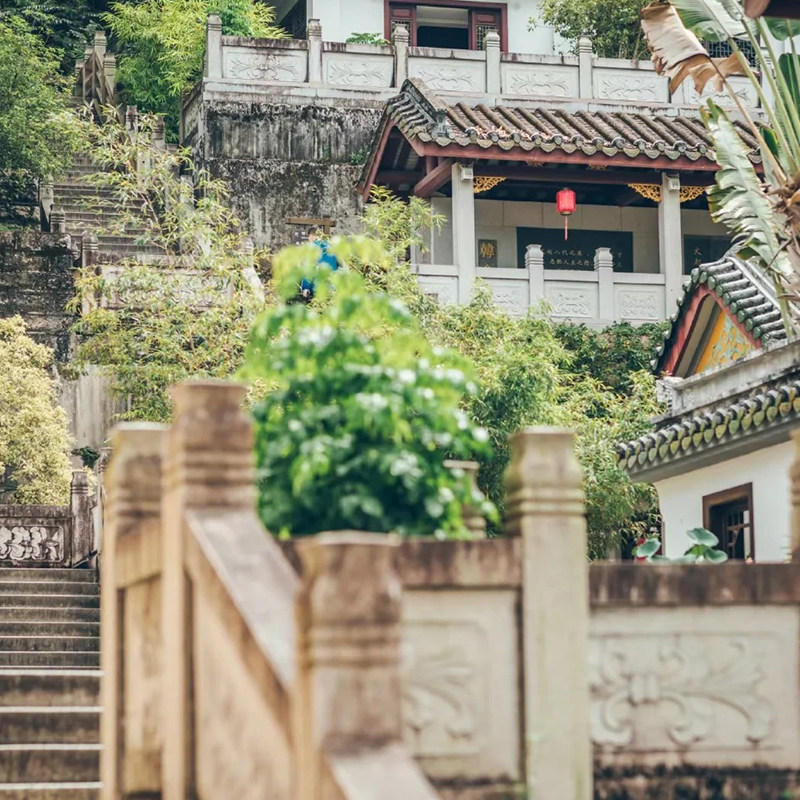 🔥599元玩转潮汕3日游!佛山出发·纯玩无购物·爸妈直呼再来一次👵👨-旅行团-淘宝好物网